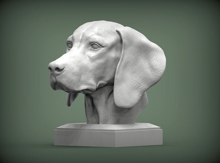 Vizsla Bust