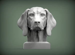 Vizsla Bust