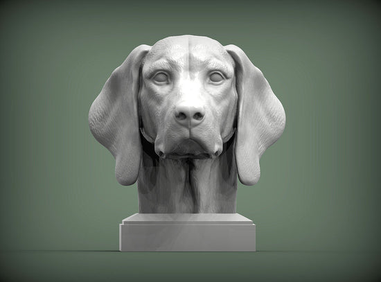 Vizsla Bust