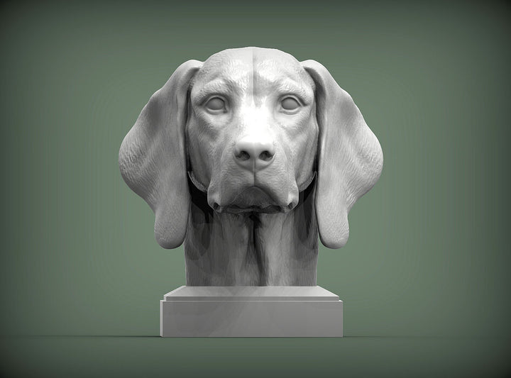 Vizsla Bust