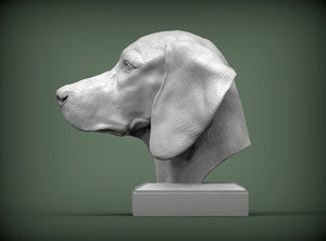Vizsla Bust