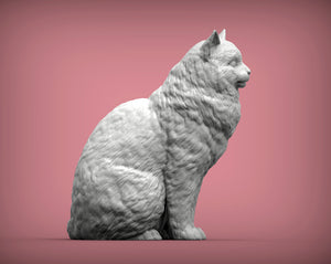 Ragdoll Cat Sculpture