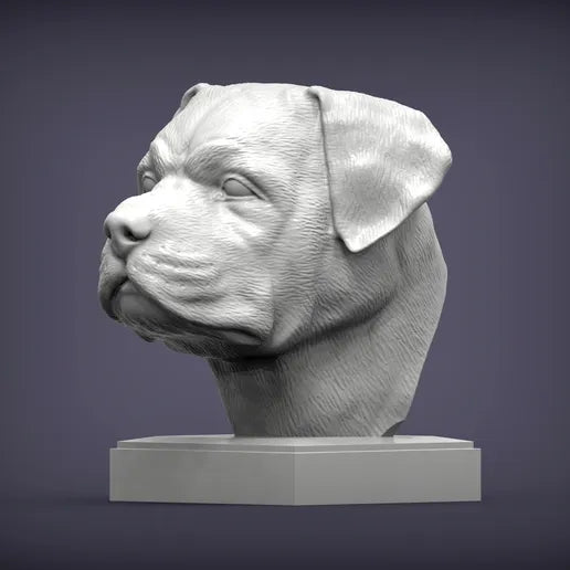 Rottweiler Bust