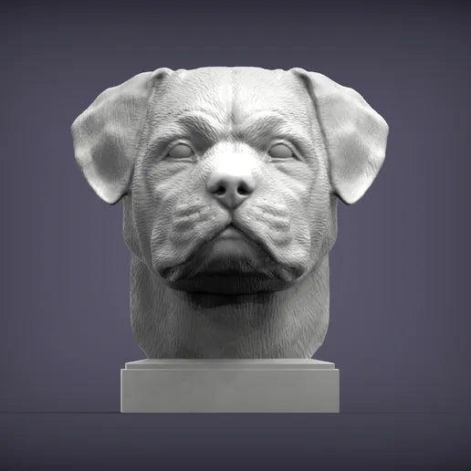Rottweiler Bust