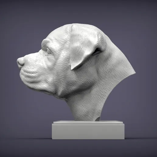 Rottweiler 3D Dog