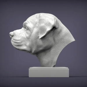 Rottweiler Bust