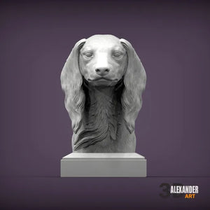 Saulki Bust