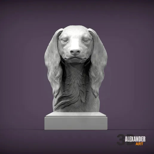 Saulki Bust